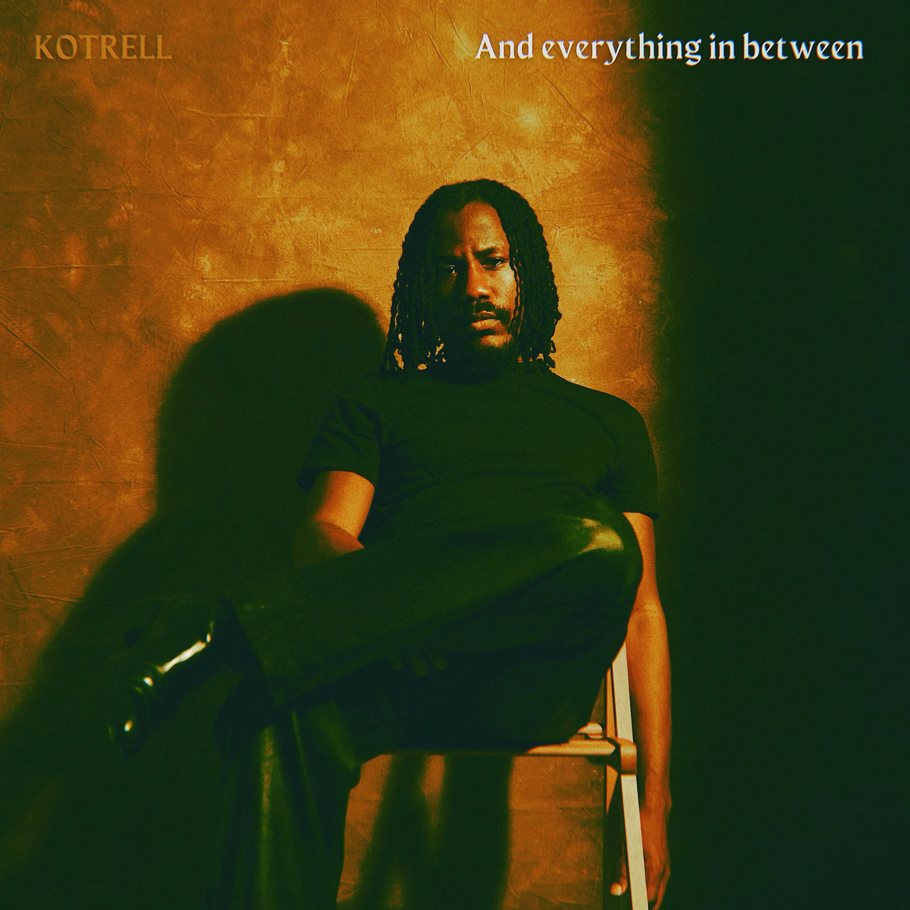 and everything in between cover